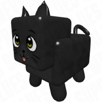 Black Cat Black Cat